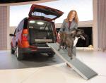 Honda Element Concept Dog Friendly 2010 года